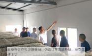 夏津县桑蚕合作社涉嫌骗局：伪造订单套取补贴，蚕农血本无归集体上访